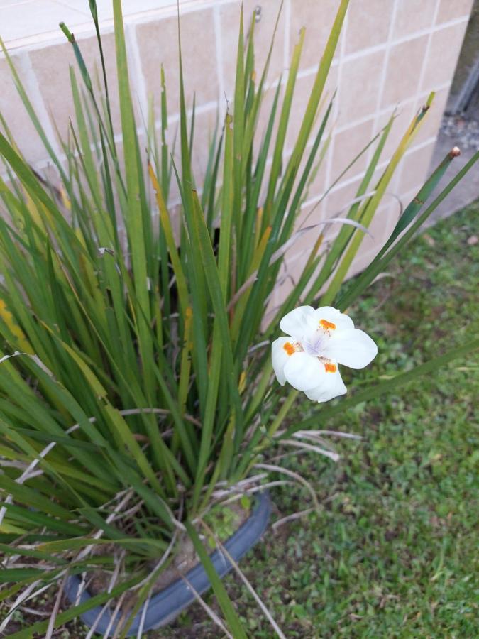 Casa Canto Verde Visconde De Maua Kültér fotó