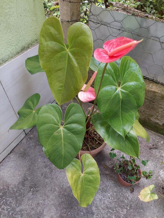 Casa Canto Verde Visconde De Maua Kültér fotó